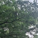 스테이지리산아침 이미지