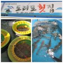 해돋이 | 남도여행 - 자산어보 촬영지 도초도 섬여행, 영광 백수해안 도로