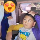 제주아그로 이미지