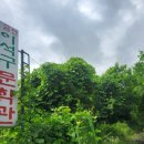 금산이석구문학관 네이버블로그