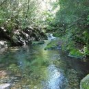 금왕(제천) 이미지