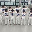 새빛 태권도 이미지