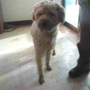 무등동물병원 이미지