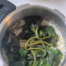 밥 짓는 사람이 될테다 - &#39;공간사부작&#39; 밥멍 후기