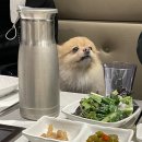 한우관 이미지