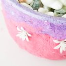 반려식물 원예화분 공예 이미지