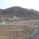 수목부동산중개사무소 이미지