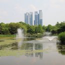 서울숲6 이미지