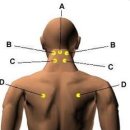 길벗한의원 이미지