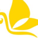 수 코스메틱 이미지