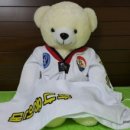 부평하나용인대태권도장 이미지