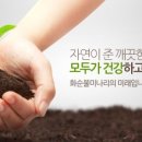 화순불미나리 이미지