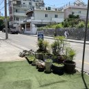 산마루칼국수 이미지