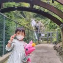 봉래식당 이미지