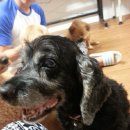 (주)성화이아이 | 2014년 9월 14일(일요일) 남양주유기견보호소 봉사후기