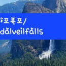 면사포 폭포/Bridalveil falls 이미지