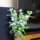 영오2농장 이미지