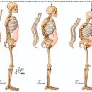 270-3026 | 알리·테무 아동용품·장난감에 발암물질 3000배? 이래도 어린이날 선물 알리·테무에서 구매할 건가요?