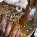 홍참치
