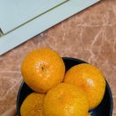 고래불모텔 이미지