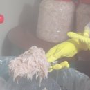 알찬광천토굴새우젓 이미지