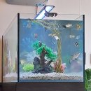 아쿠아트 이미지