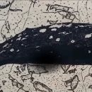 인도문화 체험전 이미지