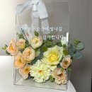 앵지스파티
