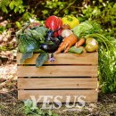 예스환경 이미지