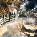 운남농장 이미지