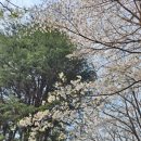 선너머공원 이미지