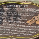 남지철교길 이미지