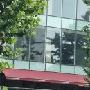 종로면선생 이미지