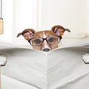 아이큐25시 이미지