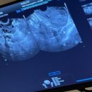 아가엄마여성의원 이미지