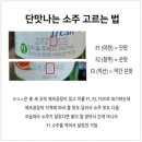 02카라반 이미지