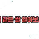 흑미네 이미지