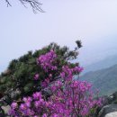 연세삼성부동산중개사무소 이미지
