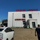 초원동물병원 이미지