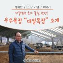 대일목장 이미지