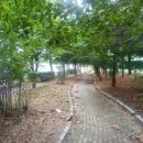 유앤아이부동산중개사무소 이미지