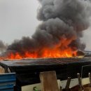 강서부산농장 이미지