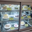 주말 오피스 활용 | [대구 동성로 카페] 동성로 골목 숨은 핫플 데이트 코스 디저트 맛집 '윌리스오피스' 솔직 후기