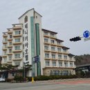 베니키아호텔 산과바다 양양 이미지