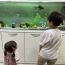 진소아청소년과의원 이미지