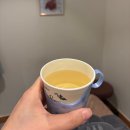 약손 테라피 | 수성구마사지 한화약손테라피 통증 근막관리 방문 후기