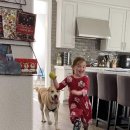 해석농장 이미지