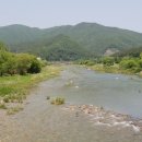 토브의 강가 이미지