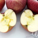 영시기과일이야기 이미지