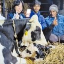 순흥목장 이미지